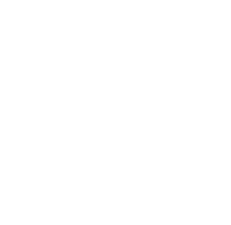 Cerebro Logo